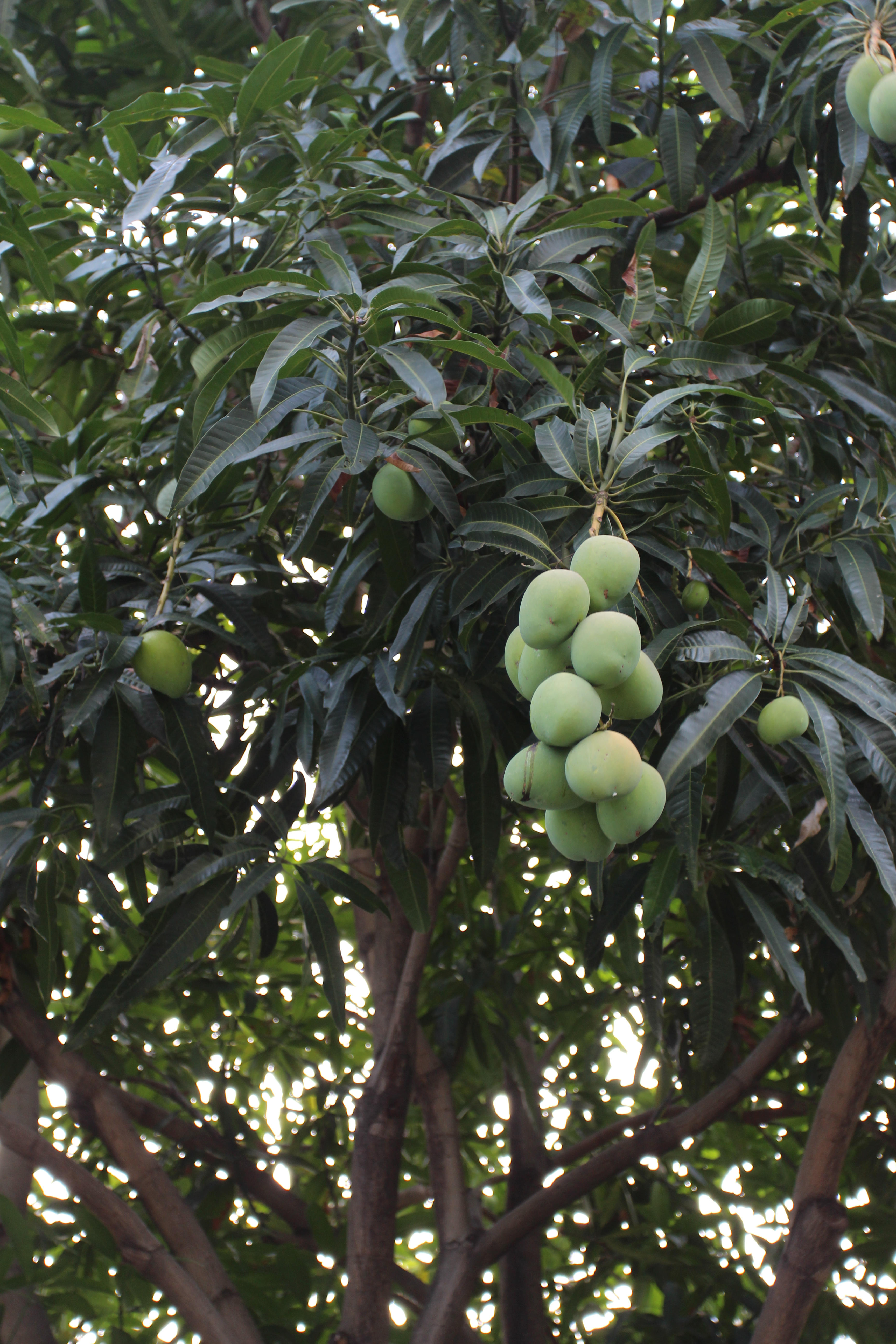 1111111.jpg 1111111.jpg