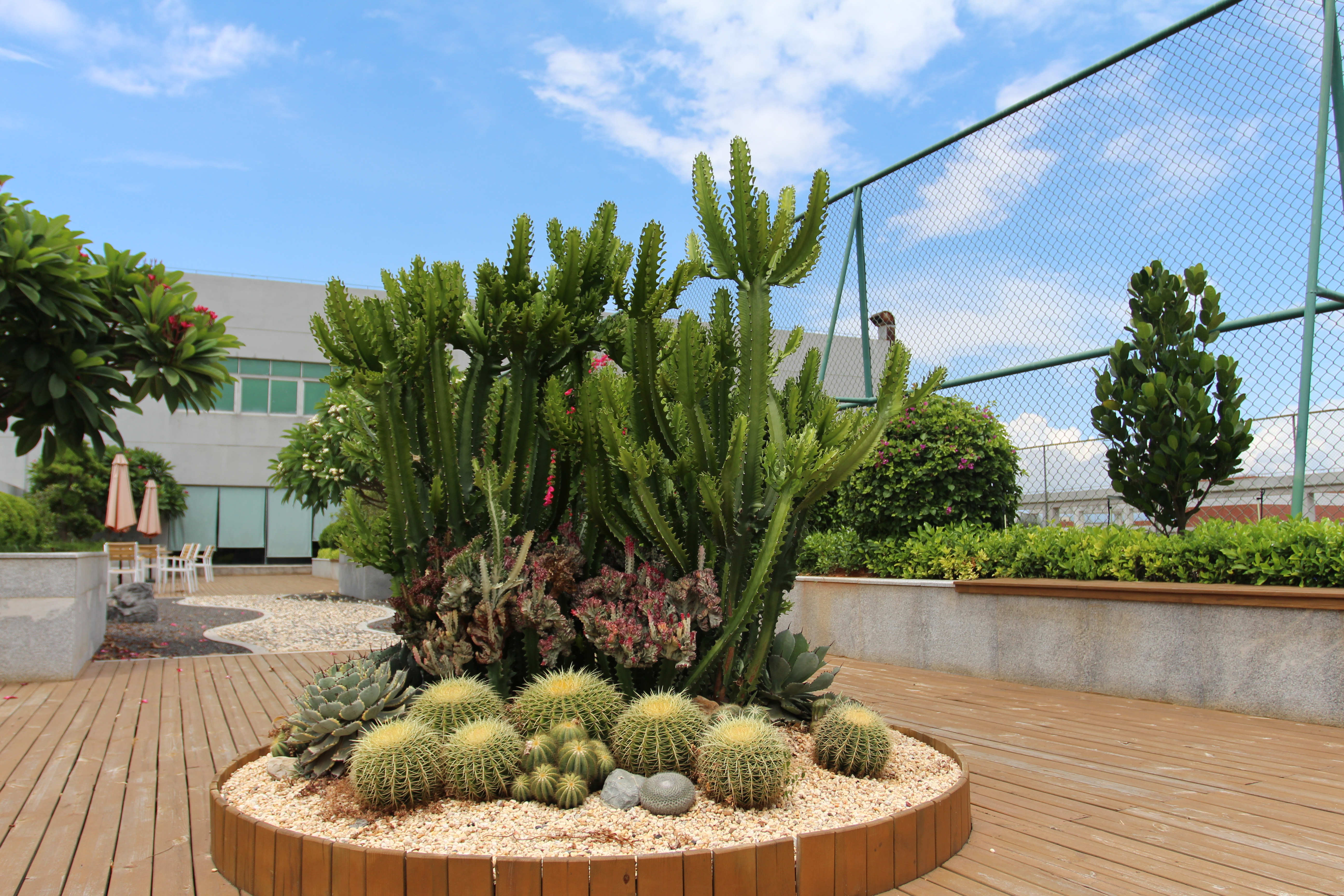 IMG_4348_副本.jpg IMG_4348_副本.jpg