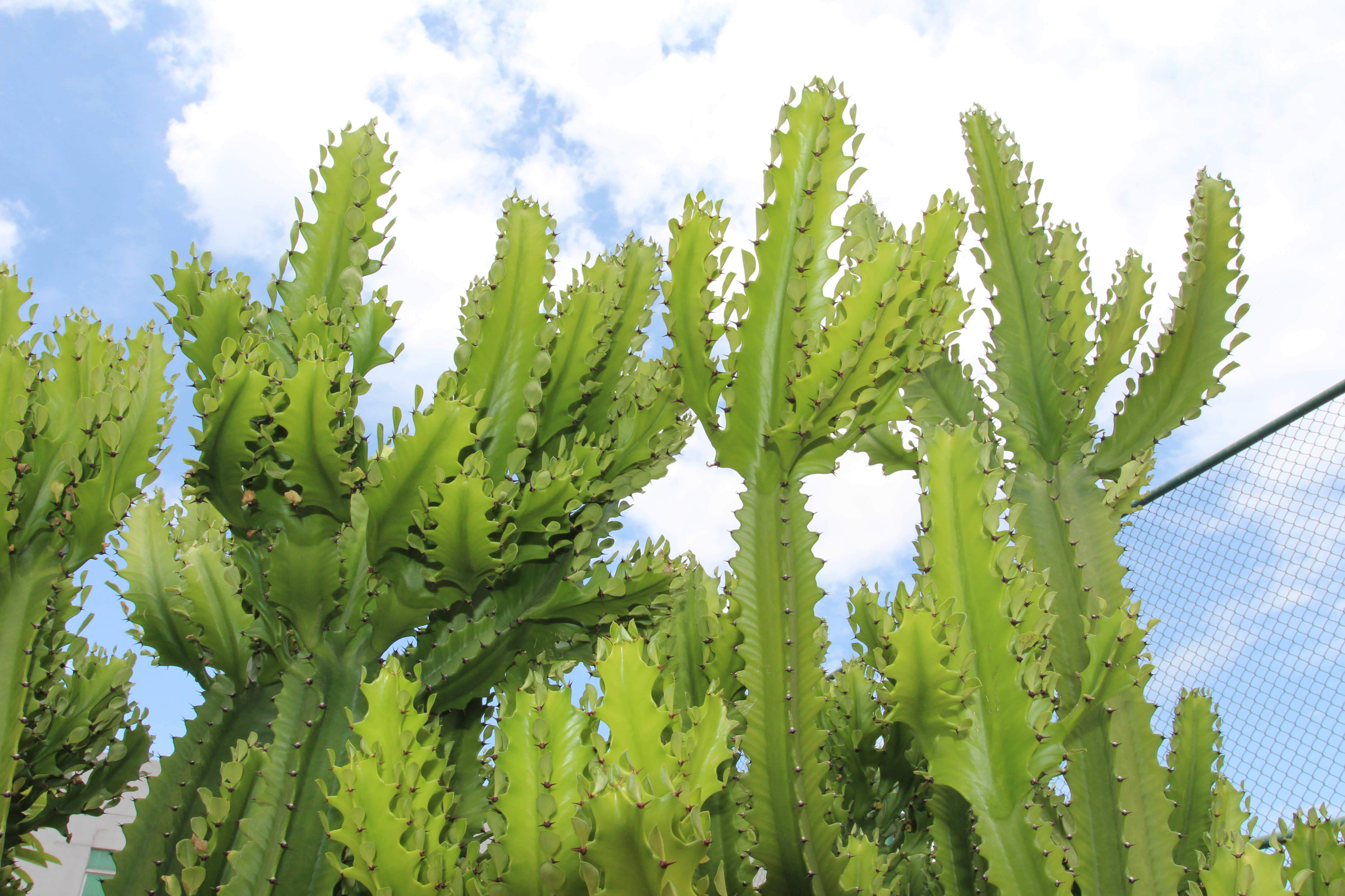 1 (3)_副本.jpg 1 (3)_副本.jpg