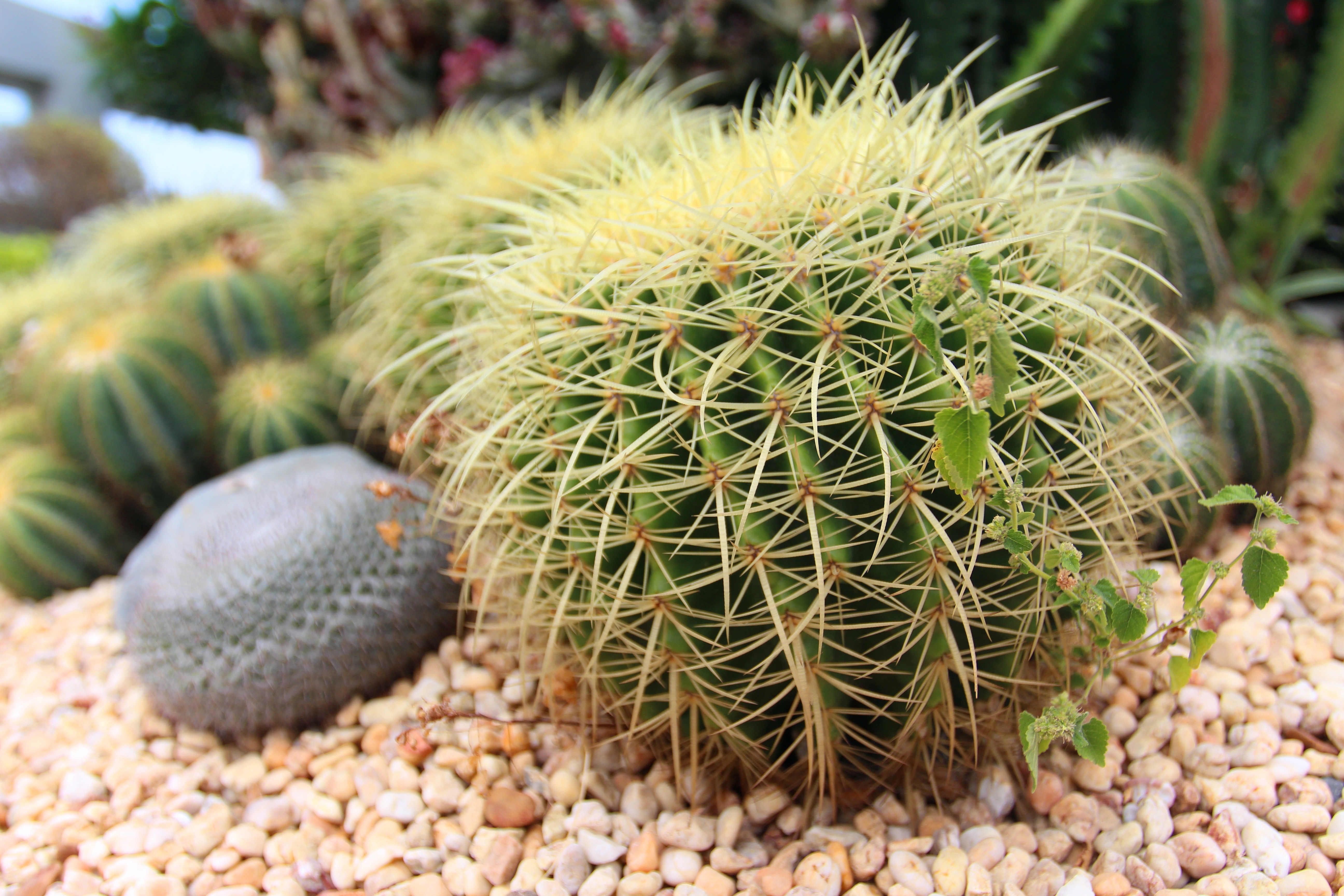 1 (2)_副本.jpg 1 (2)_副本.jpg