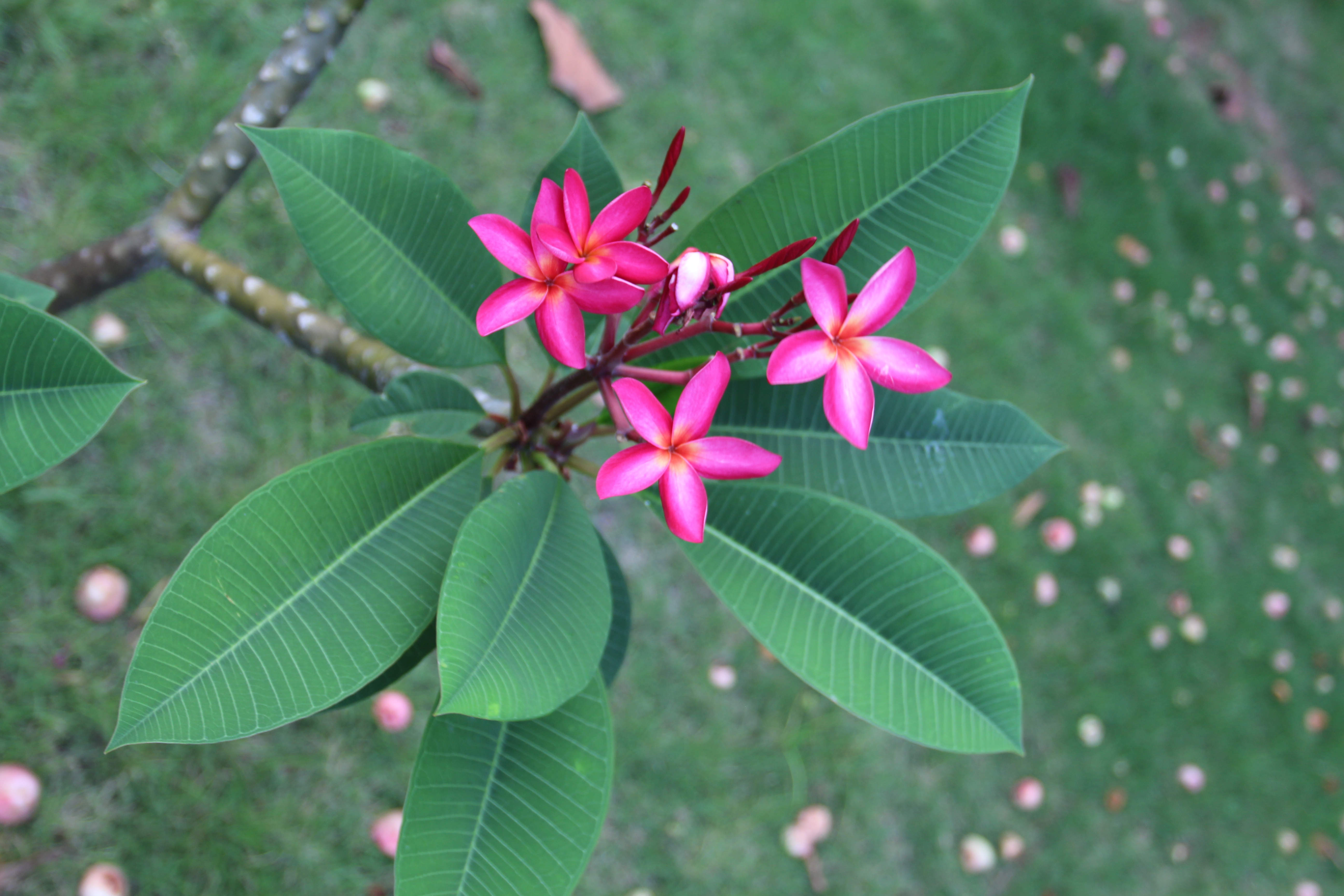 IMG_4192_副本.jpg IMG_4192_副本.jpg