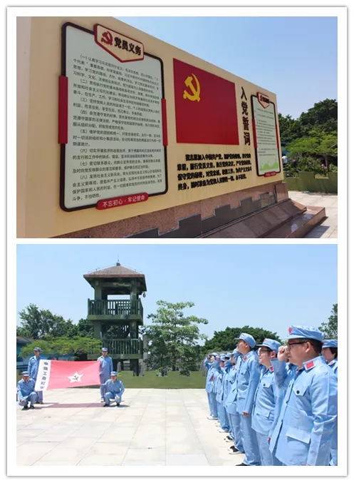 8.webp.jpg 8.webp.jpg